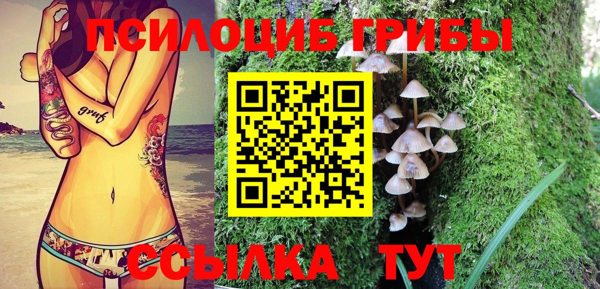 Псилоцибиновые грибы Psilocybine cubensis Прохладный